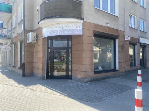 Wynajem Lokal handlowo-usługowy Mława