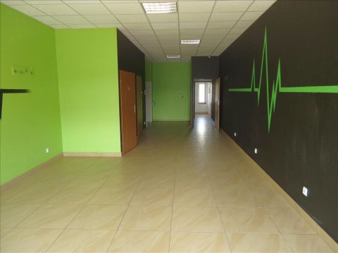 Wynajem Ogólne Piotrków Trybunalski