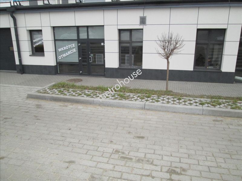 Lokal na wynajem, Gdynia