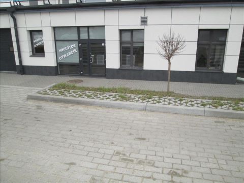 Wynajem Lokal handlowo-usługowy Gdynia