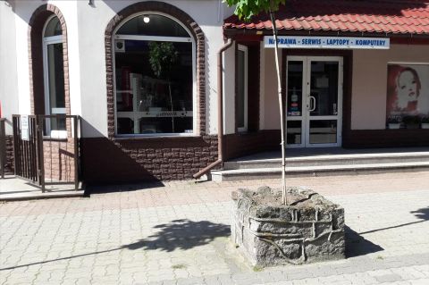 Wynajem Lokal handlowo-usługowy Ciechanów