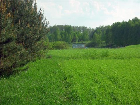 Sprzedaż Działka Rawa Mazowiecka