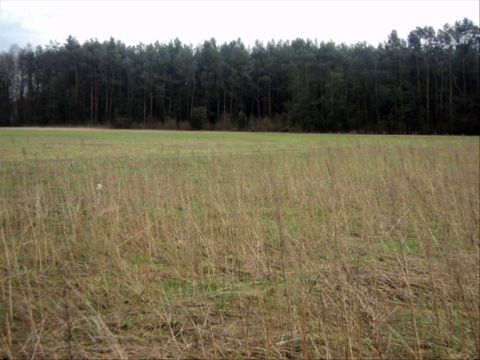 Sprzedaż Działka Stanisławów, pow. piotrkowski