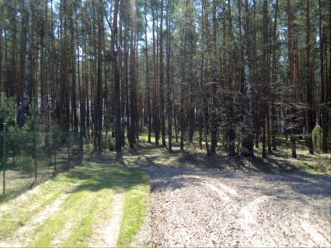 Sprzedaż Działka Swolszewice Duże, pow. piotrkowski