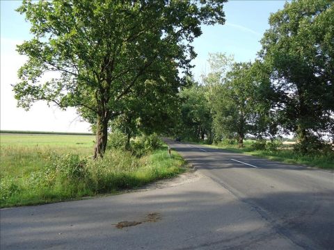 Sprzedaż Działka Nowa Sucha, pow. sochaczewski