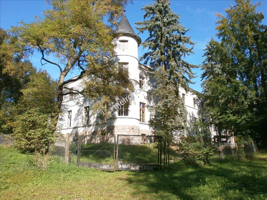Dworek / pałac  for sale, Chełmiński, Grubno