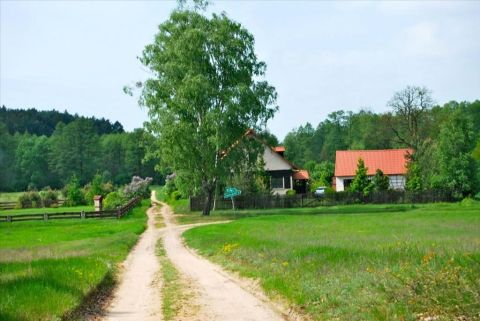 Sprzedaż Działka Pąchy, pow. nowotomyski