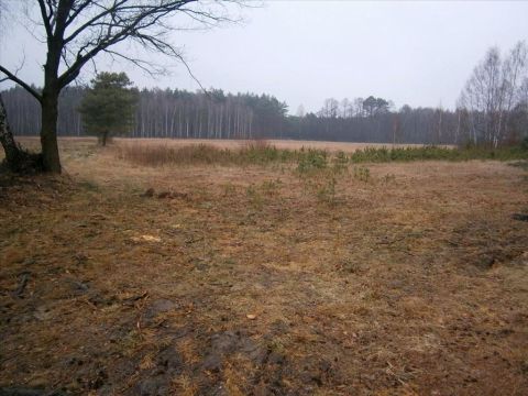 Sprzedaż Działka Żądłowice, pow. tomaszowski