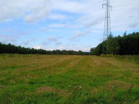 Sprzedaż Działka Kamieńsk, pow. radomszczański