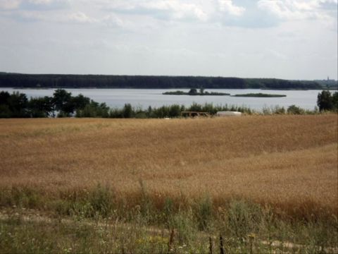 Sprzedaż Działka Barkowice Mokre, pow. piotrkowski