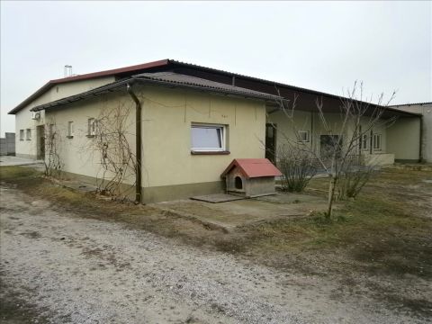 Sprzedaż Ogólne Luboszewy, pow. tomaszowski