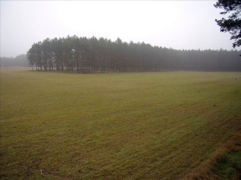 Sprzedaż Działka Silna, pow. międzyrzecki