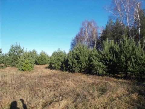 Sprzedaż Działka Puszcza Mariańska, pow. żyrardowski
