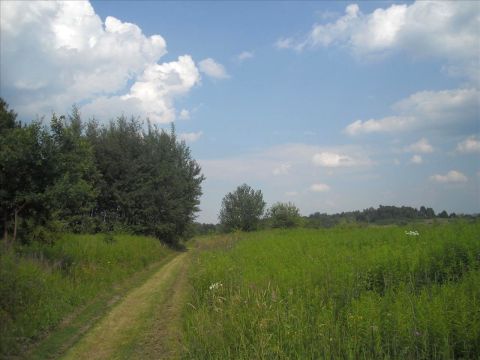 Sprzedaż Działka Skawina, pow. krakowski