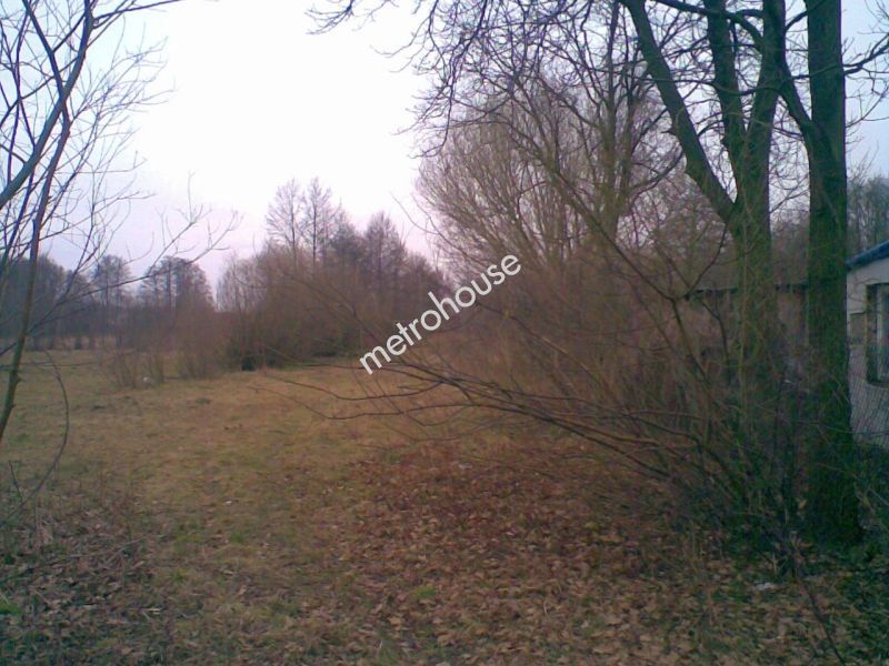 Działka na sprzedaż, Miński, Halinów, Cisie