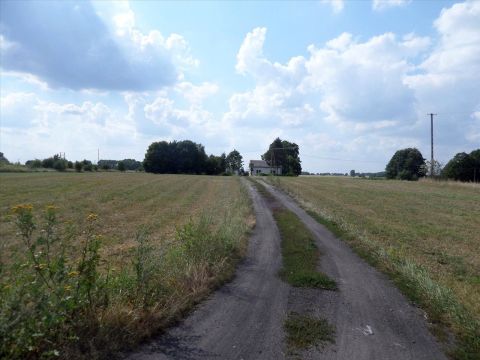 Sprzedaż Działka Mława