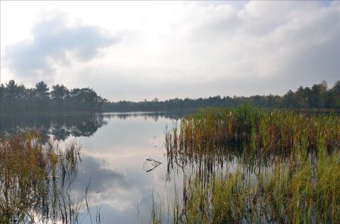 Sprzedaż Działka Wąpiersk, pow. działdowski