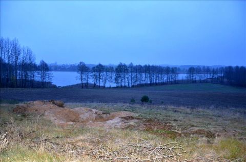 Sprzedaż Działka Wąpiersk, pow. działdowski