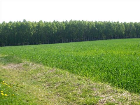 Sprzedaż Działka Iłowo-Osada, pow. działdowski