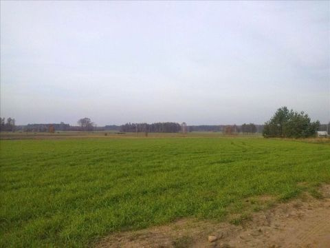 Sprzedaż Działka Mława