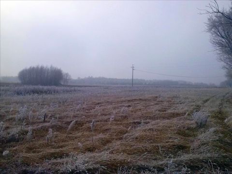 Sprzedaż Działka Modła, pow. mławski