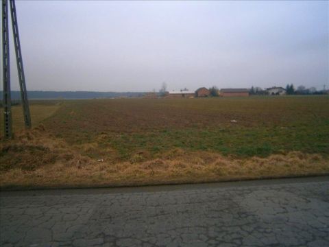 Sprzedaż Działka Prymusowa Wola, pow. opoczyński