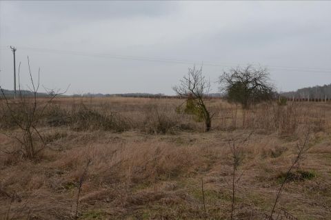 Sprzedaż Działka Kolonia Ossa, pow. przysuski