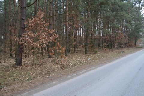 Sprzedaż Działka Kolonia Ossa, pow. przysuski