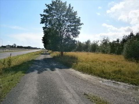 Sprzedaż Działka Jasień, pow. tomaszowski