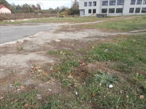 Sprzedaż Działka Piotrków Trybunalski