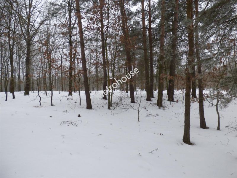 Działka na sprzedaż, Siedlce
