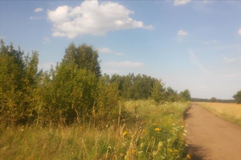 Sprzedaż Działka Mokra Prawa, pow. skierniewicki