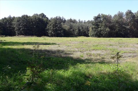 Sprzedaż Działka Wilków Polski, pow. nowodworski