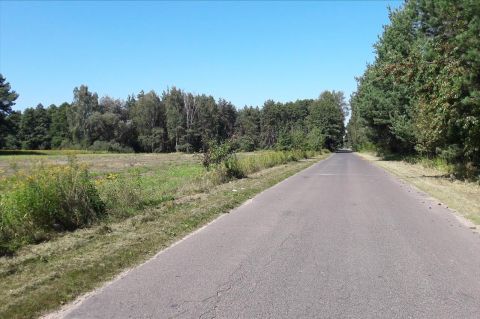 Sprzedaż Działka Wilków Polski, pow. nowodworski