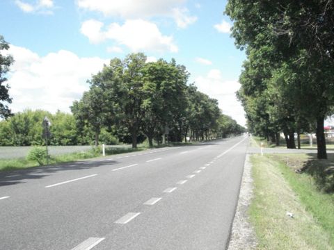 Sprzedaż Działka Płochocin, pow. warszawski zachodni