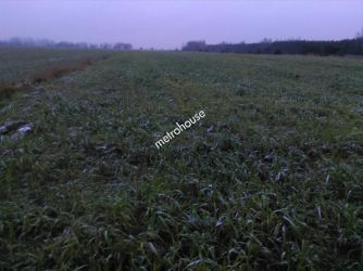 Działka na sprzedaż, Wołomiński, Małopole