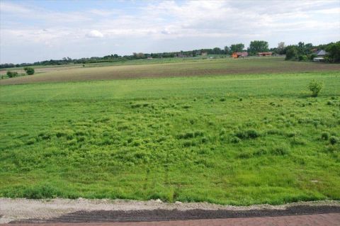 Sprzedaż Działka Żaby, pow. grodziski