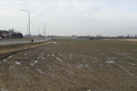 Sprzedaż Działka Ciechanów