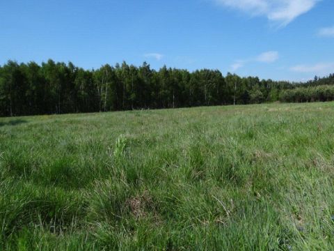 Sprzedaż Działka Nowy Drzewicz, pow. żyrardowski
