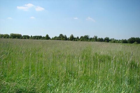 Sprzedaż Działka Holendry Baranowskie, pow. grodziski