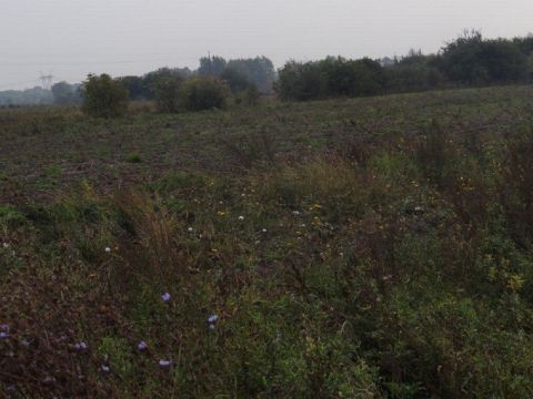 Sprzedaż Działka Bieniewo-Parcela, pow. warszawski zachodni
