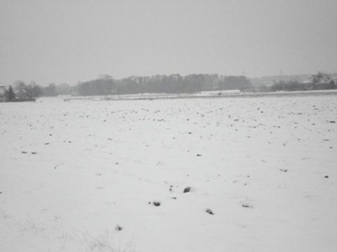 Sprzedaż Działka Topołowa, pow. sochaczewski