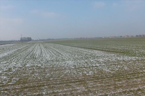 Sprzedaż Działka Toruń