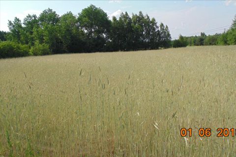 Sprzedaż Działka Wólka Smolana, pow. sochaczewski