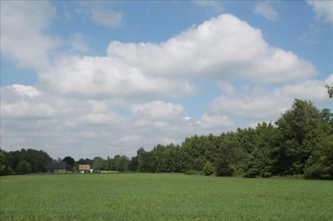 Sprzedaż Działka Stanisławów Stary, pow. pabianicki