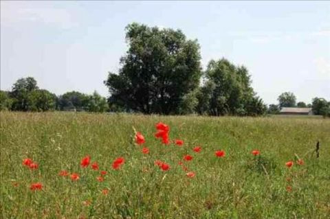 Sprzedaż Działka Wola Krakowiańska, pow. pruszkowski