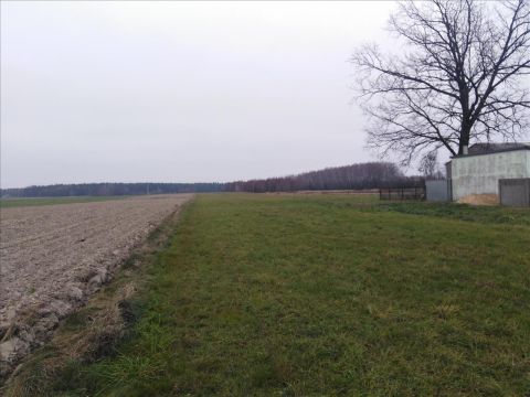 Sprzedaż Działka Wola Rakowa, pow. łódzki wschodni
