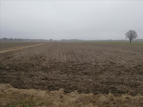 Sprzedaż Działka Prawęcice, pow. zgierski