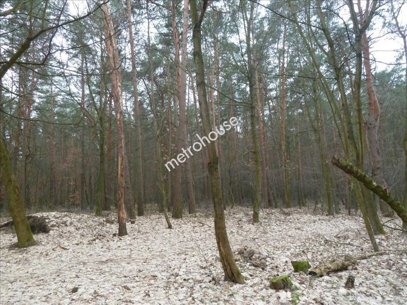 Działka na sprzedaż, Otwocki, Otwock