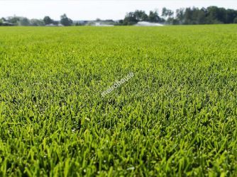 Działka na sprzedaż, Ropczycko-Sędziszowski, Sędziszów Małopolski
